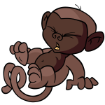 Brown Mynci