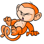 Orange Mynci