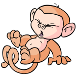 Orange Mynci