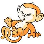 Orange Mynci