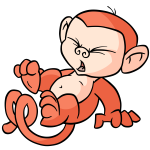 Orange Mynci