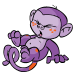 Purple Mynci
