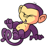 Purple Mynci