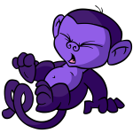 Purple Mynci