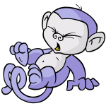 Purple Mynci