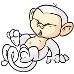 White Mynci