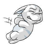 White Poogle