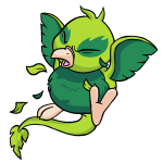 Green Pteri