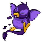 Purple Pteri