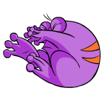 Purple Quiggle