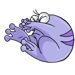 Purple Quiggle
