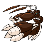 Brown Ruki
