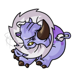 Purple Tonu