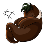 Brown Tuskaninny