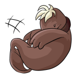 Brown Tuskaninny