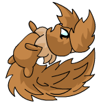 Brown Usul