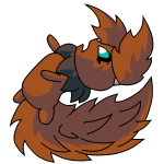 Brown Usul