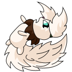 Brown Usul