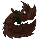 Brown Usul