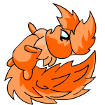 Orange Usul