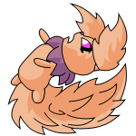 Orange Usul