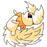 Orange Usul