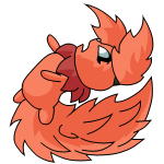 Orange Usul