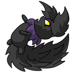 Shadow Usul