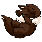 Brown Wocky