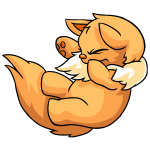 Orange Wocky