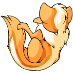 Orange Xweetok