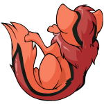 Orange Xweetok