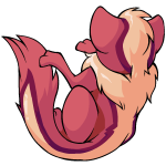 Pink Xweetok