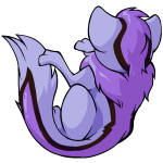 Purple Xweetok