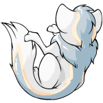 White Xweetok