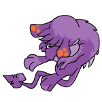 Purple Zafara