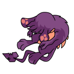 Purple Zafara