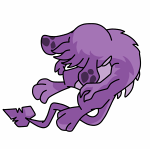 Purple Zafara