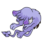 Purple Zafara