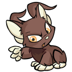 Brown Acara