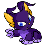 Purple Acara