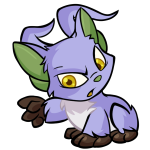 Purple Acara