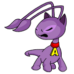 Purple Aisha