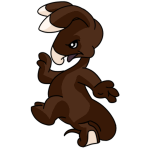 Brown Blumaroo