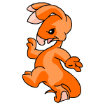Orange Blumaroo