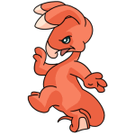 Orange Blumaroo