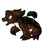 Brown Bori