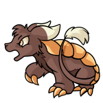 Brown Bori