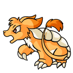 Orange Bori