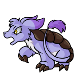 Purple Bori